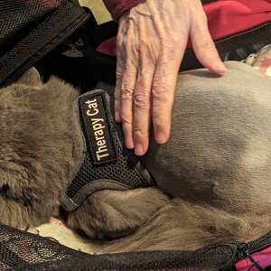 Fundraising Page: Deb Small